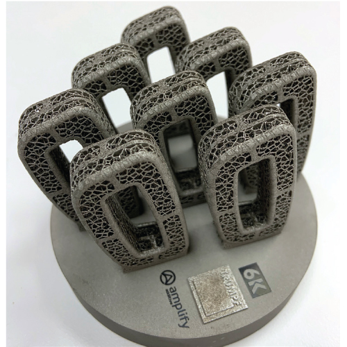 Ti6Al4V Printed Spinal Cage 